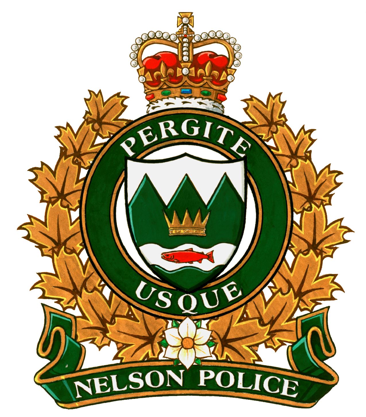 NCP Coat of Arms no Background