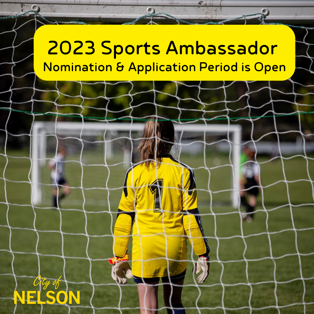 2020 Sports Ambassador Nomination is Open (2)