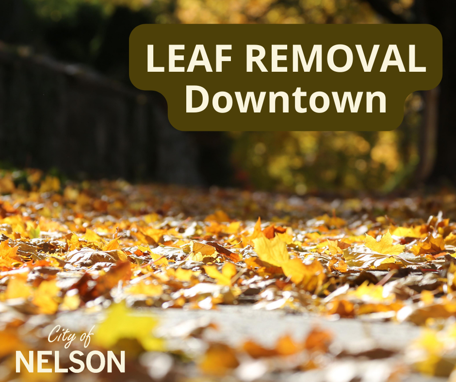 Leaf Removal