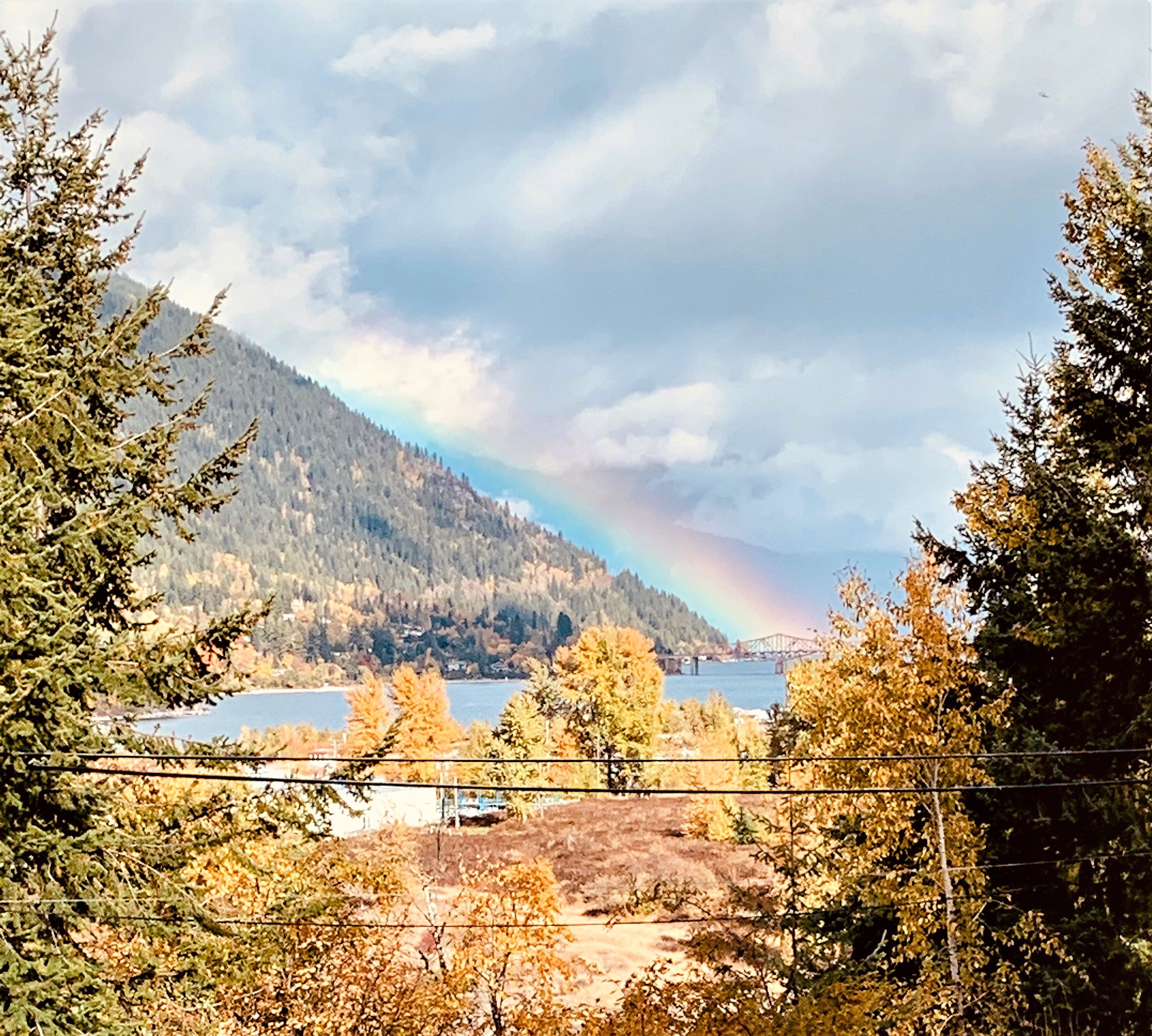 Carmen Proctor Bridge