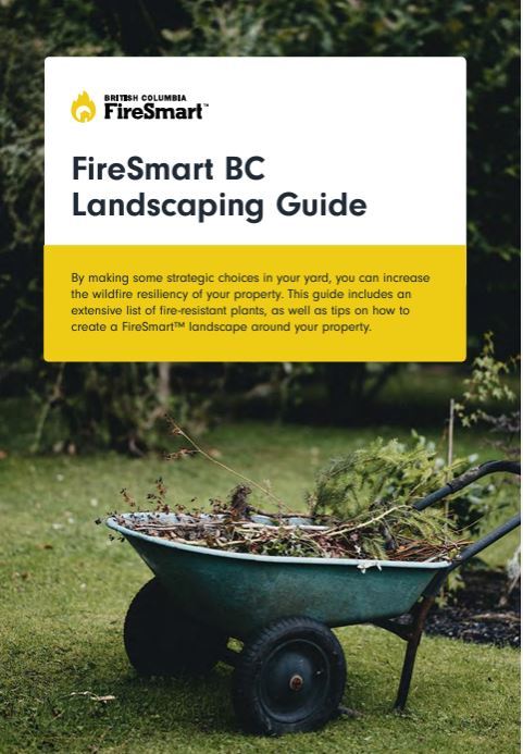 small_andscaping_guide