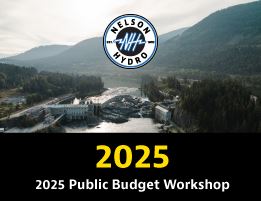 Nelson Hydro Budget Workshop