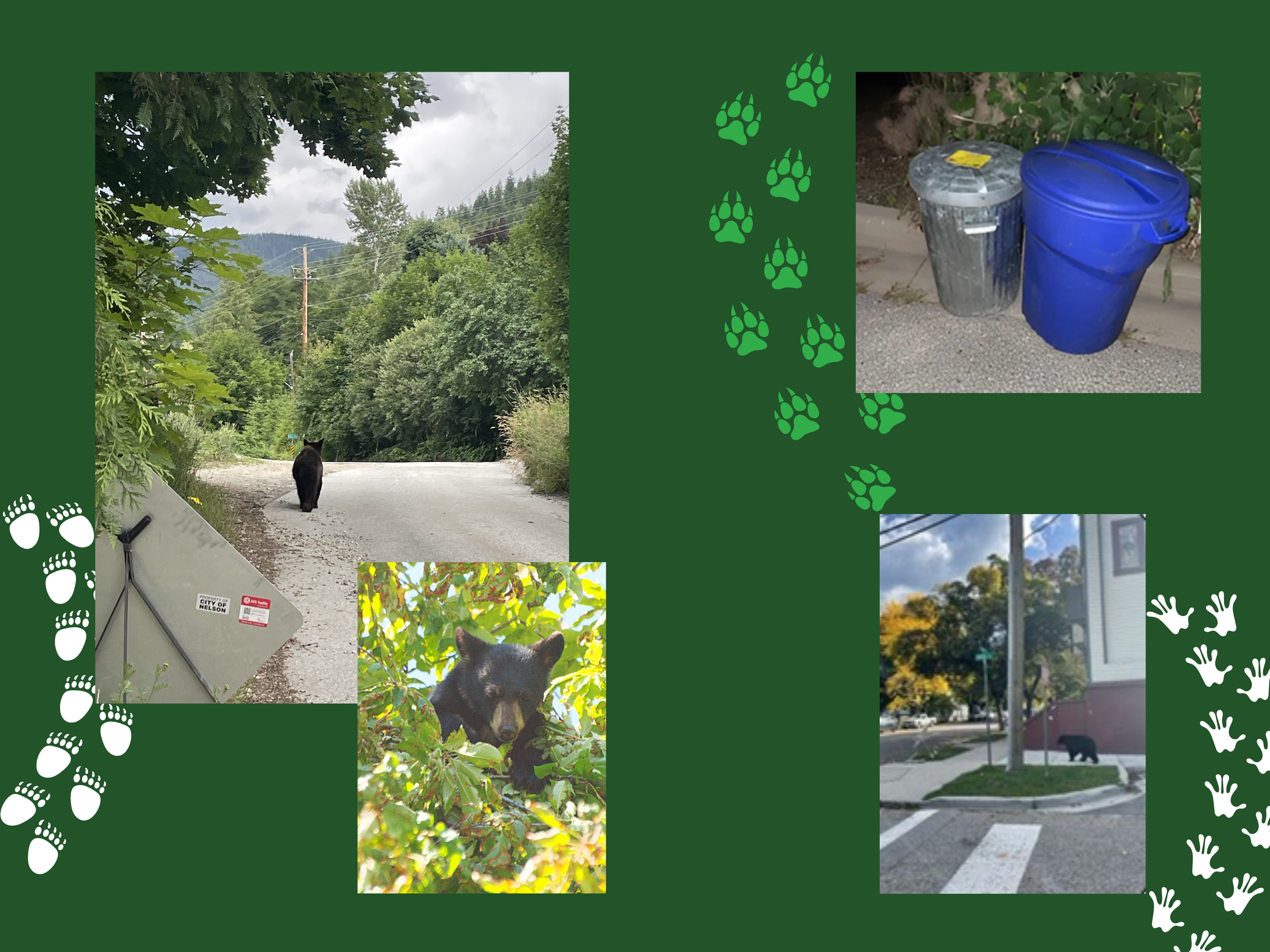 Wildlife landing page