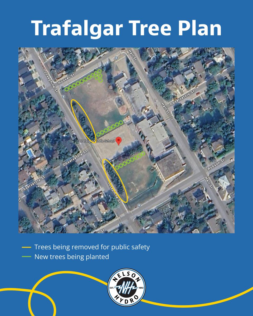 Trafalgar Replanting Plan