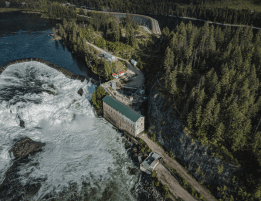 Summer 2024 Newsletter