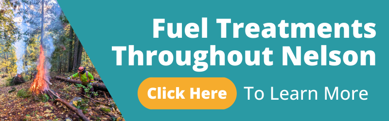Button linking to Fuel Treatments Throughout Nelson (800 x 250 px)